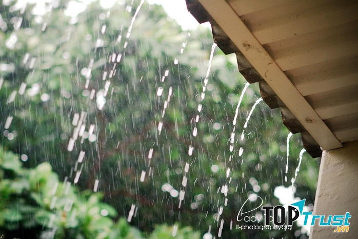 Mưa bắt đầu rơi lộp bộp trên mái tôn.