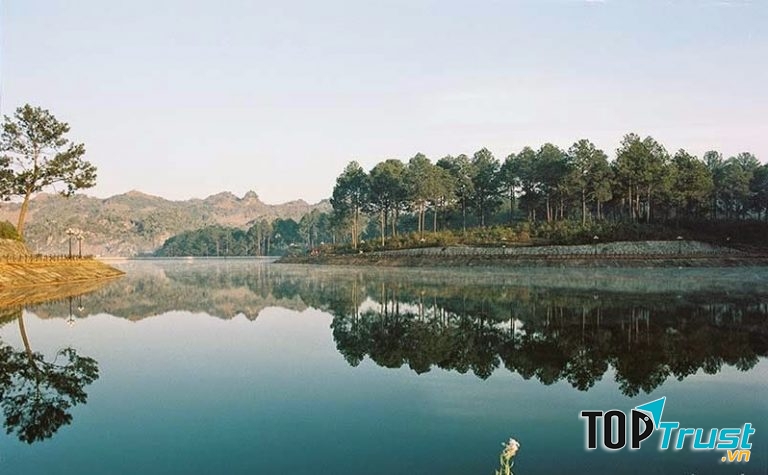 Rừng thông Bản Áng