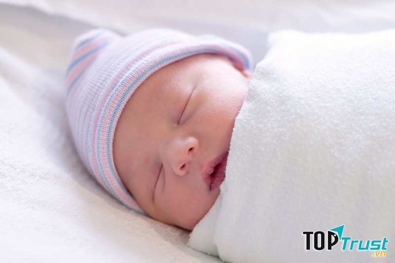 Ảnh minh họa (Nguồn Internet)