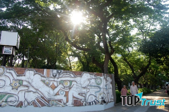 Những hàng cây cổ thụ hàng trăm tuổi gắn liền với nhiều thế hệ những người Sài Gòn