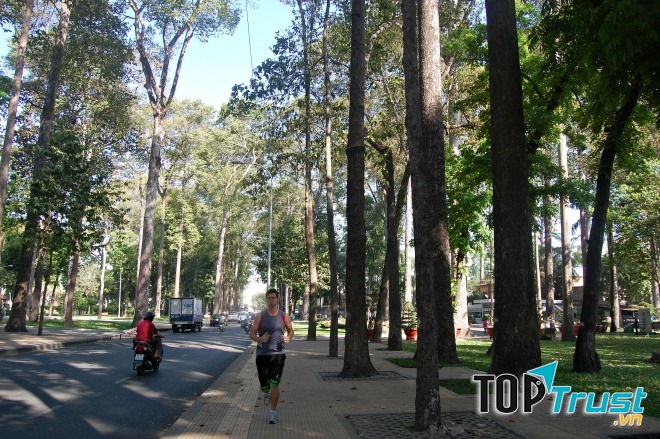 Hình ảnh con đường có lá me bay đã đi vào những bài thơ, bài hát