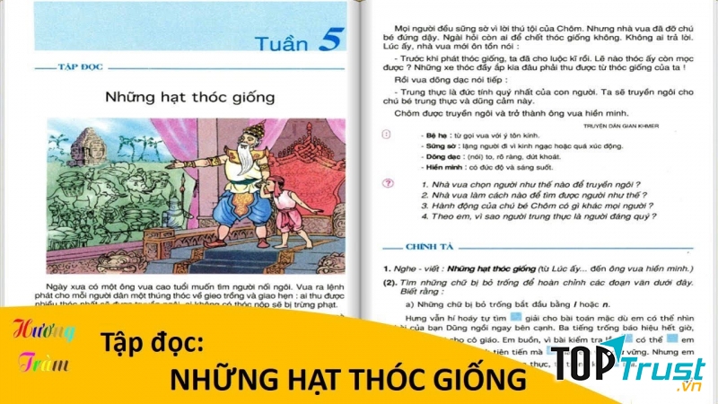 Những hạt thóc giống