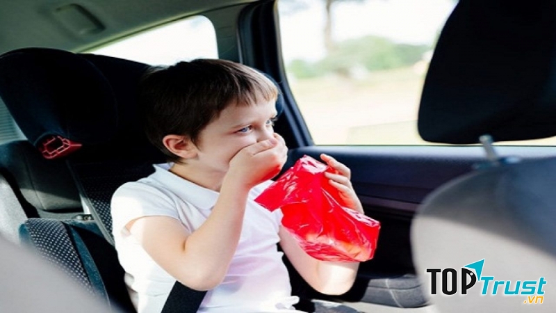 Những loại thực phẩm giúp chống say xe