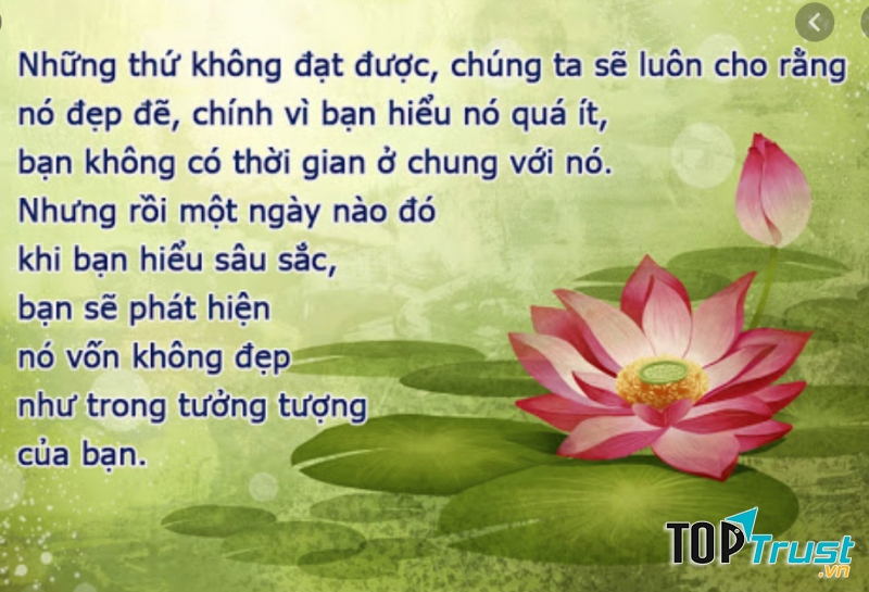 Những thứ không đạt được, chúng ta sẽ luôn cho rằng nó đẹp đẽ, chính vì bạn hiểu nó quá ít, bạn không có thời gian ở chung với nó. Nhưng rồi một ngày nào đó khi bạn hiểu sâu sắc, bạn sẽ phát hiện nó vốn không đẹp như trong trí tưởng tượng của mình