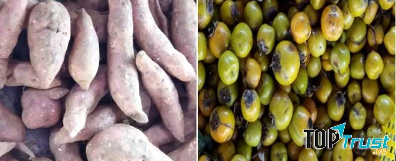 Ảnh tự chụp