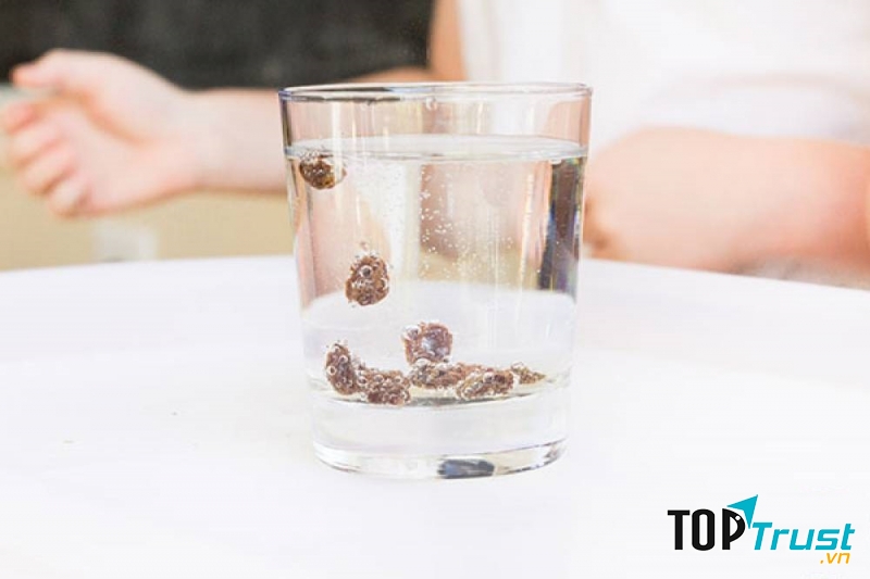 Thí nghiệm những trái nho nhảy múa trong nước