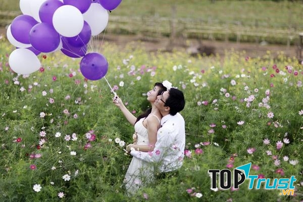 Vườn hoa Đà Lạt