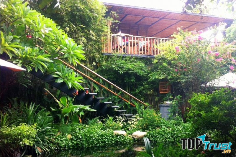 Nia Cafe với một không gian với rất nhiều cây cối