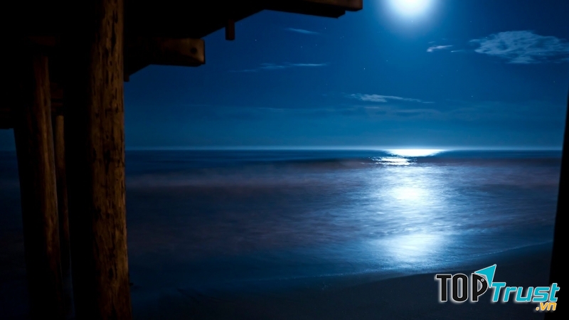 Night Sounds - Calm Relax Sleep một ứng dụng giúp ngủ ngon khá tuyệt vời (Nguồn: youtube)