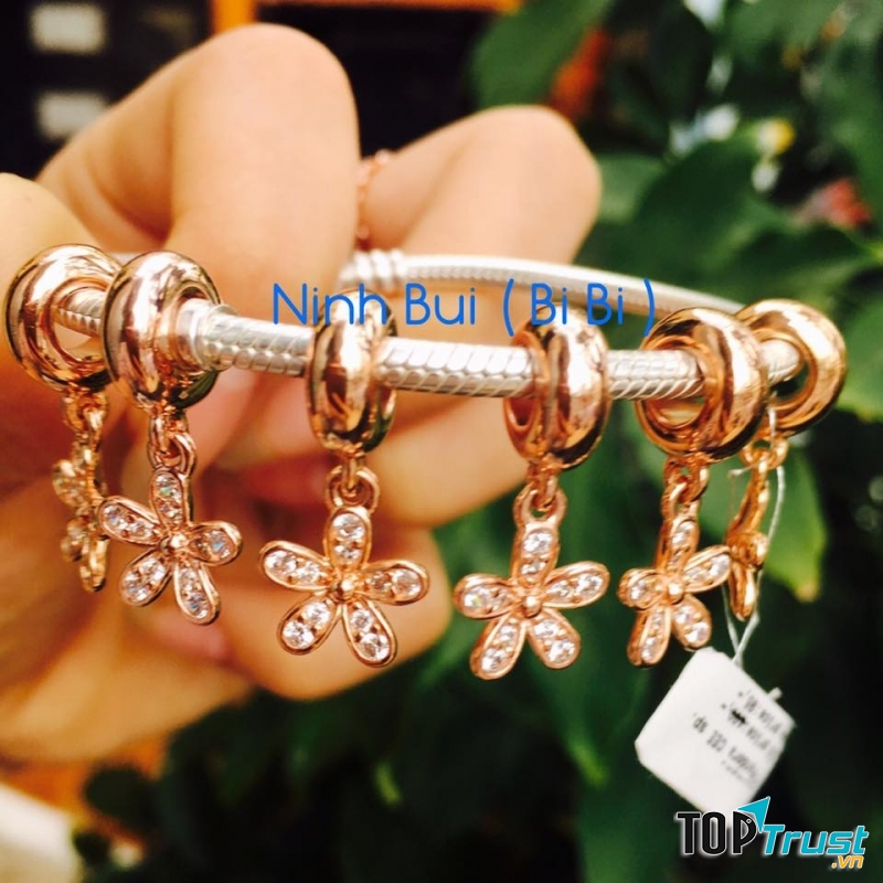 Ninh Bui