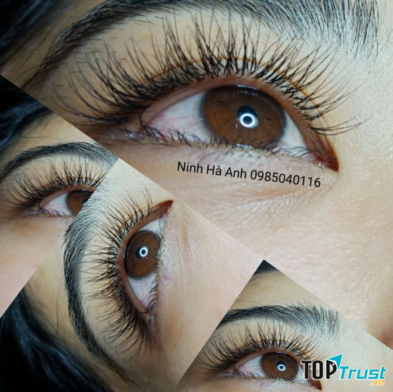 Ninh Hà Anh Nối Mi