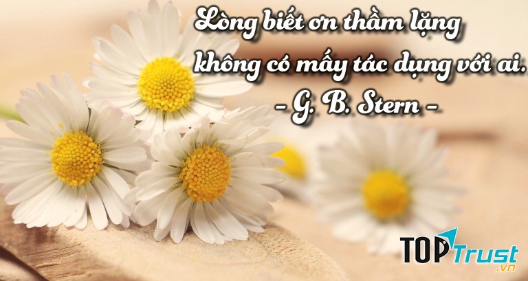 Hãy biết nói lời cảm ơn và xin lỗi với người thân