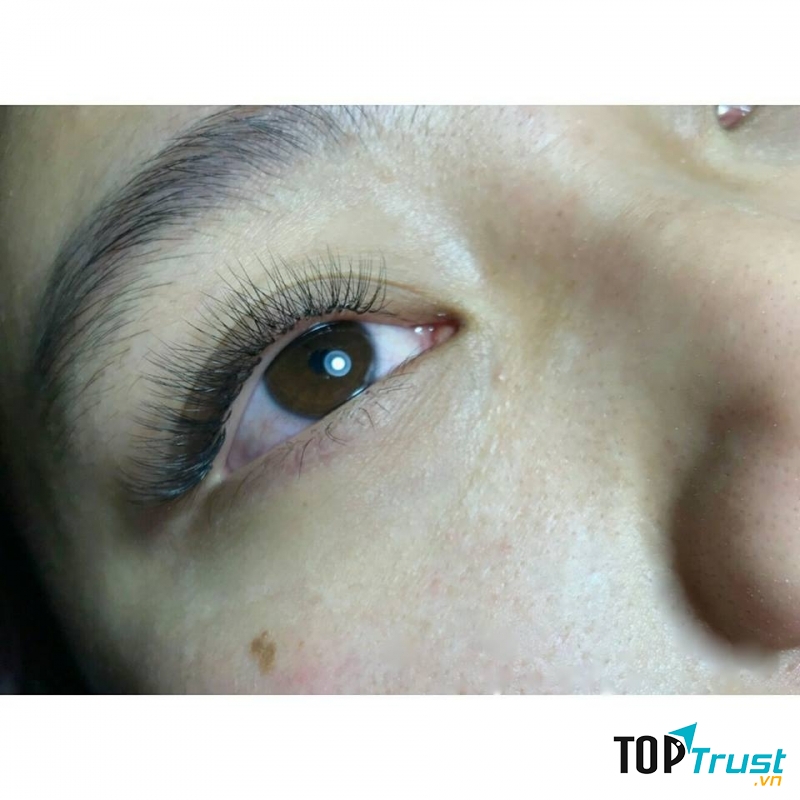 Nối mi Chi Eyelash