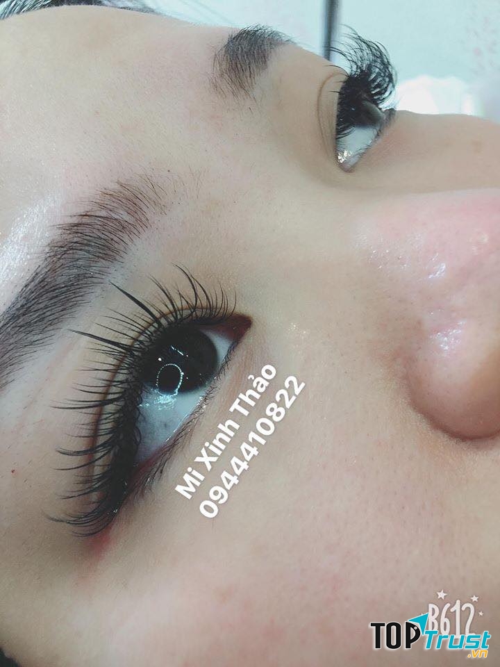 Nối mi Thảo Long Biên