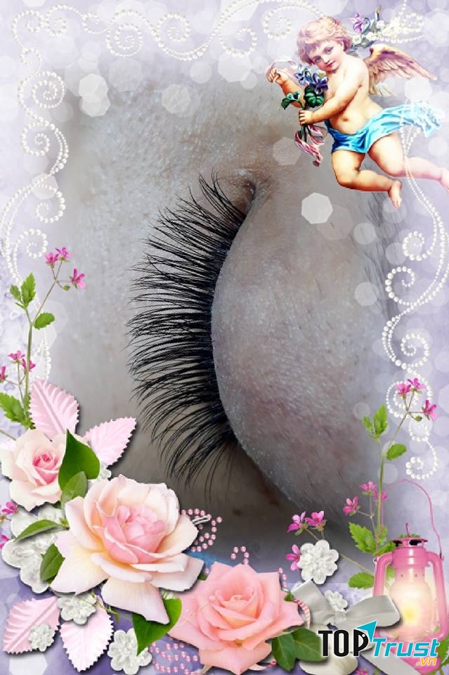 Nối Mi Thiều Lưu