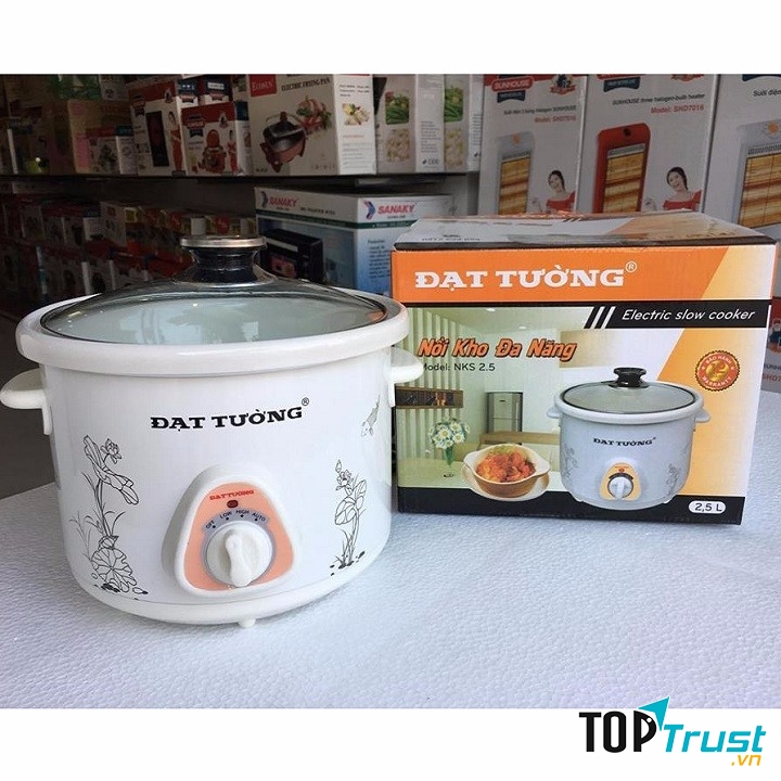 Nồi kho - Hầm - Nấu cháo chậm đa năng Đạt Tường