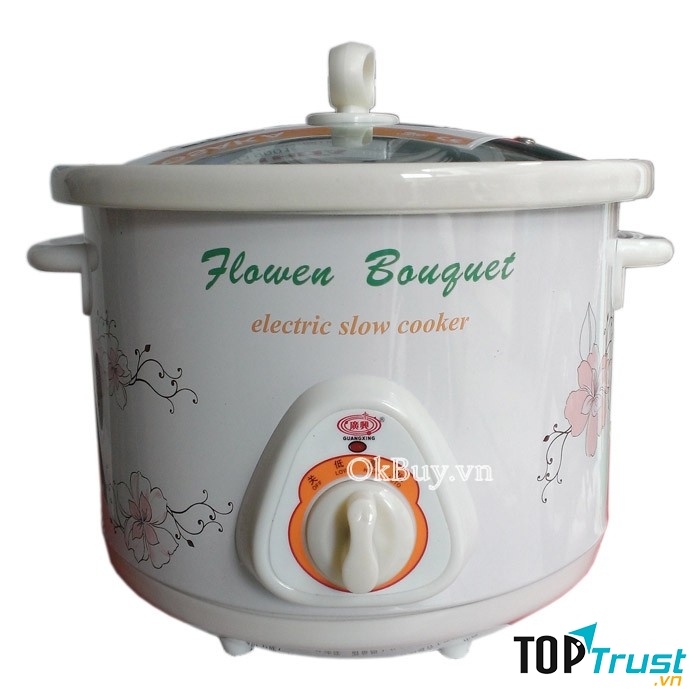 Nồi nấu cháo điện đa năng Guang Xing GX-25A