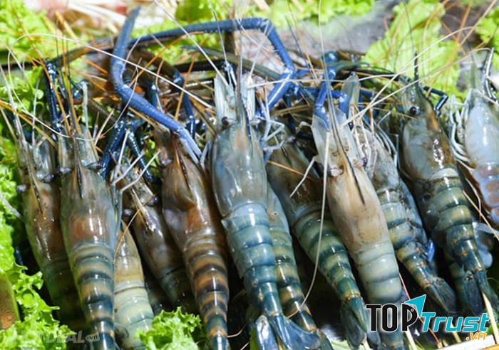 Những con Tôm Càng Xanh tươi rói