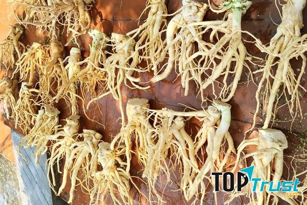 Sản phẩm đa dạng, có sẵn