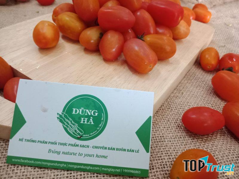 Nông Sản Dũng Hà