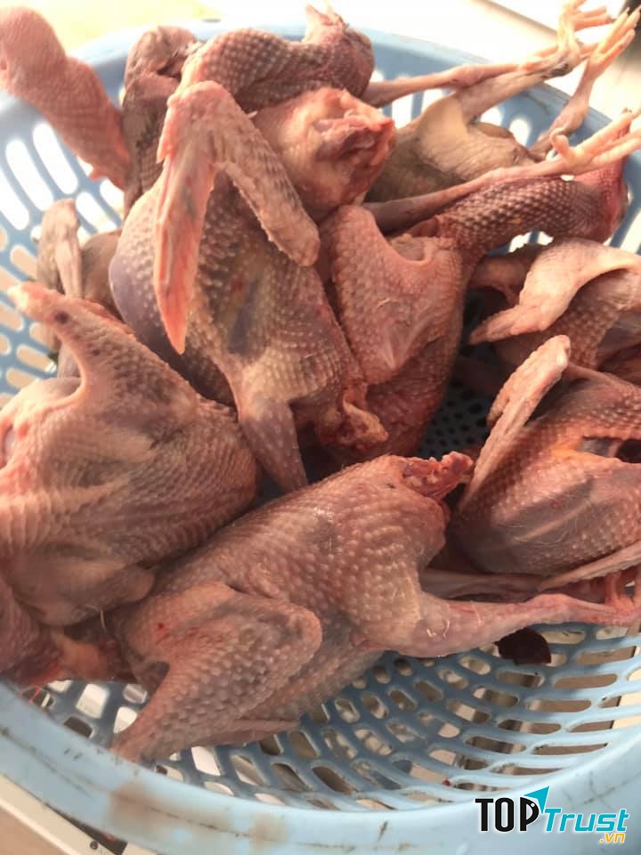 Nông Sản Thảo Nguyên Xanh