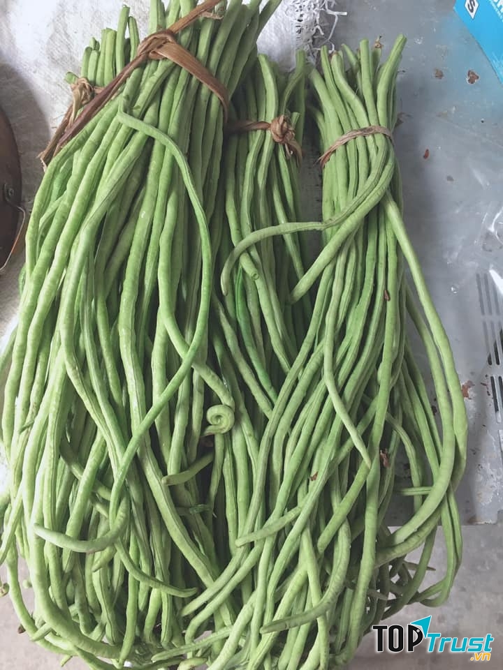 Nông Sản Thảo Nguyên Xanh