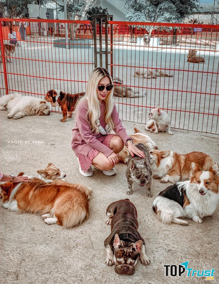 Nông Trại Cún - Puppy Farm