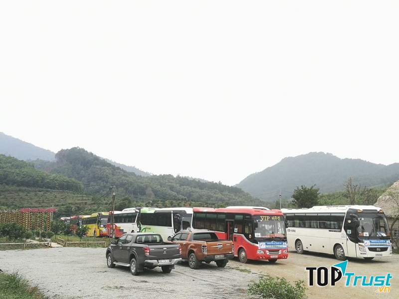 Nông trại Hoa hồng đón các đoàn khách