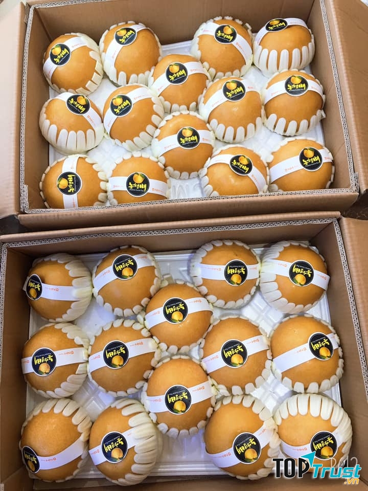 Nông trại hữu cơ Thanh - Nga