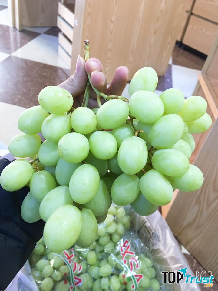 Nông trại hữu cơ Thanh - Nga