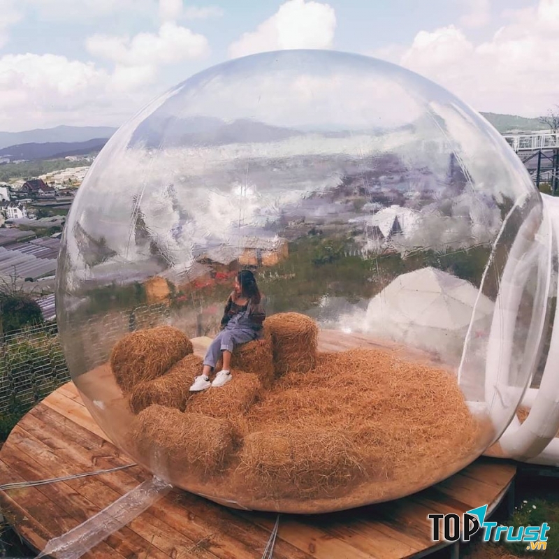 Nông trại vui vẻ – Sunny Farm