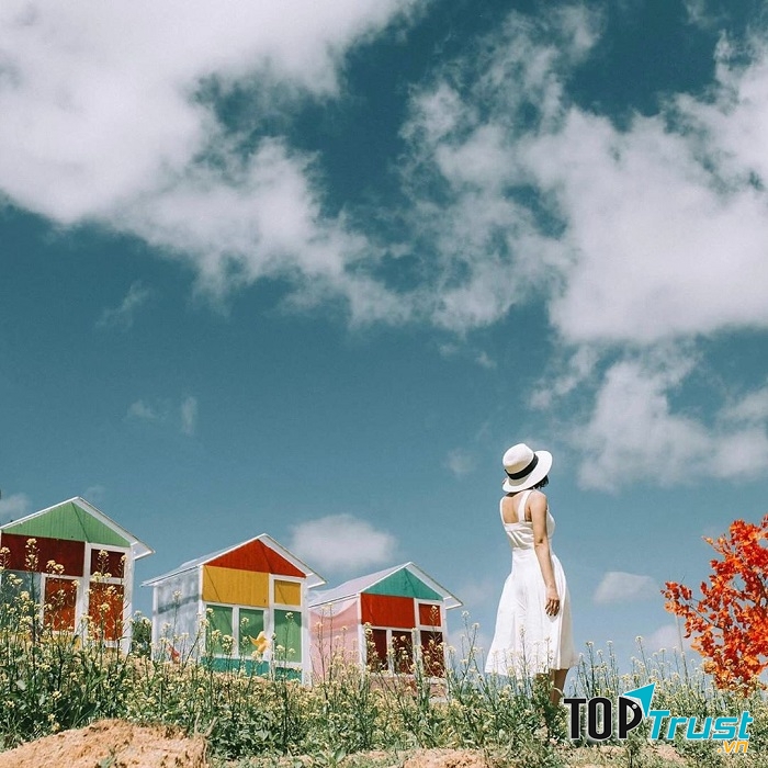 Nông trại vui vẻ – Sunny Farm