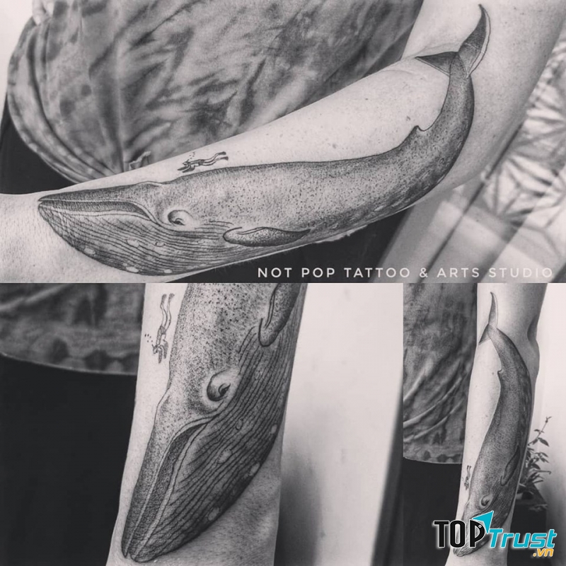 Not Pop Tattoo & Arts Studio