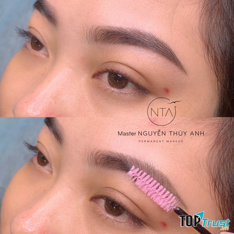 NTA Permanent Make Up