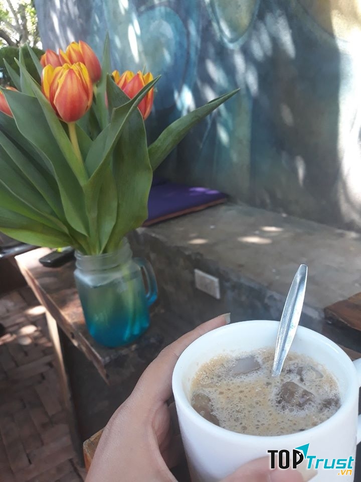 Núi coffee
