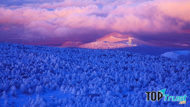 Núi Hanllasan bao phủ một màu tuyết trắng mùa đông
