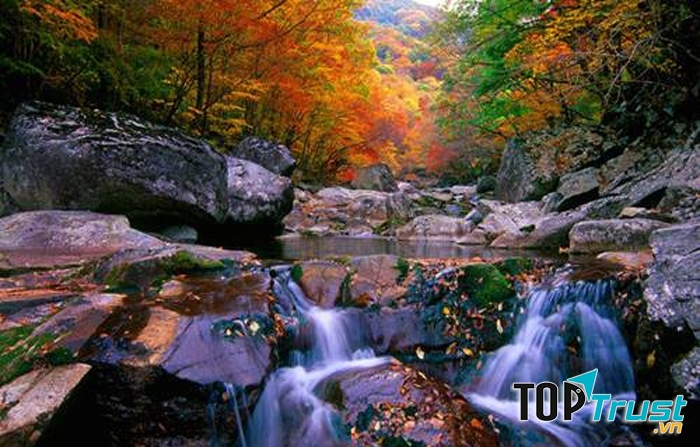 cảnh đẹp như bức tranh trên núi Jirisan