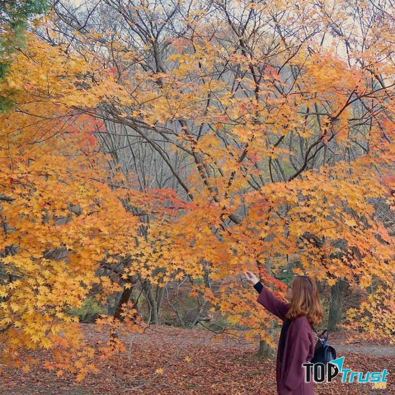 Núi Naejangsan, Jeolabuk Do