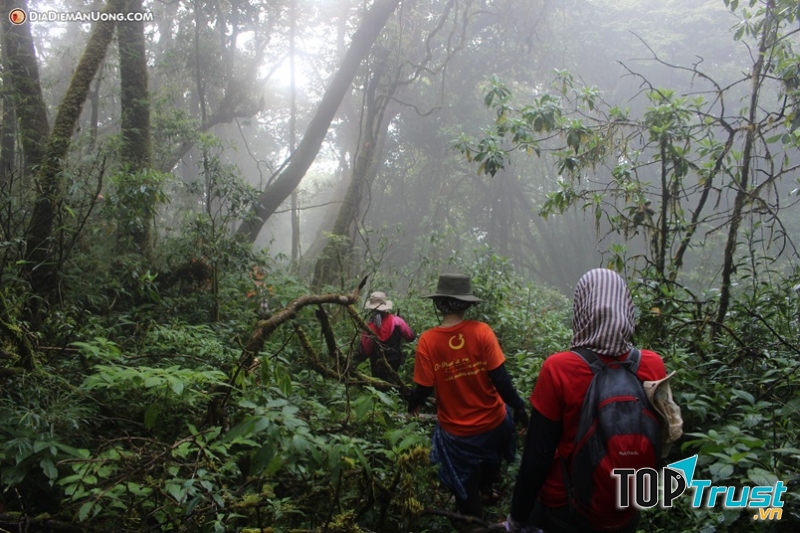 Những nhà leo núi vượt rừng sâu