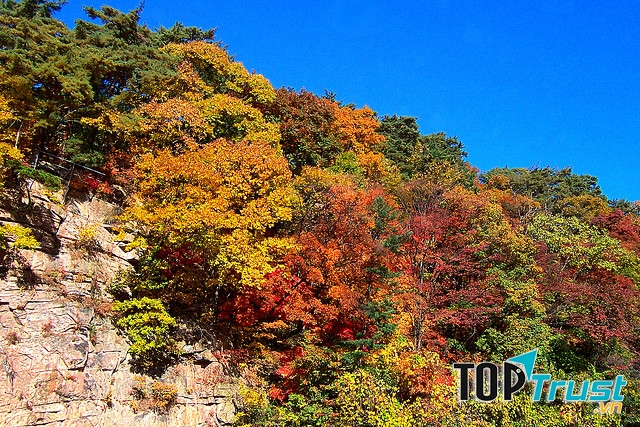 Cảnh đẹp đến mê mẩn trên ngọn núi Songnisan