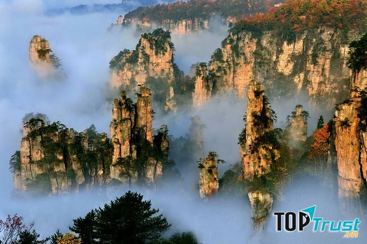 Núi Tianzi – Trung Quốc