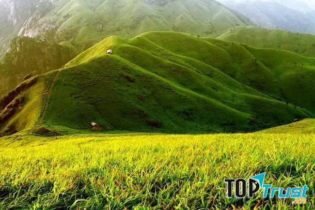 Nếu như bạn yêu một ai đó, hãy dẫn người đó đến núi Võ Công. 