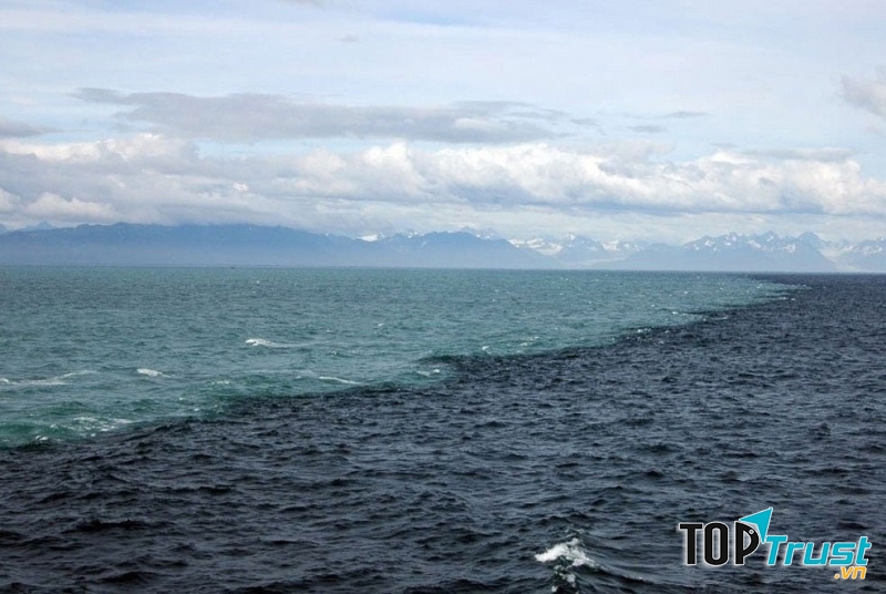Nước biển hai màu ở Skagen,Đan Mạch