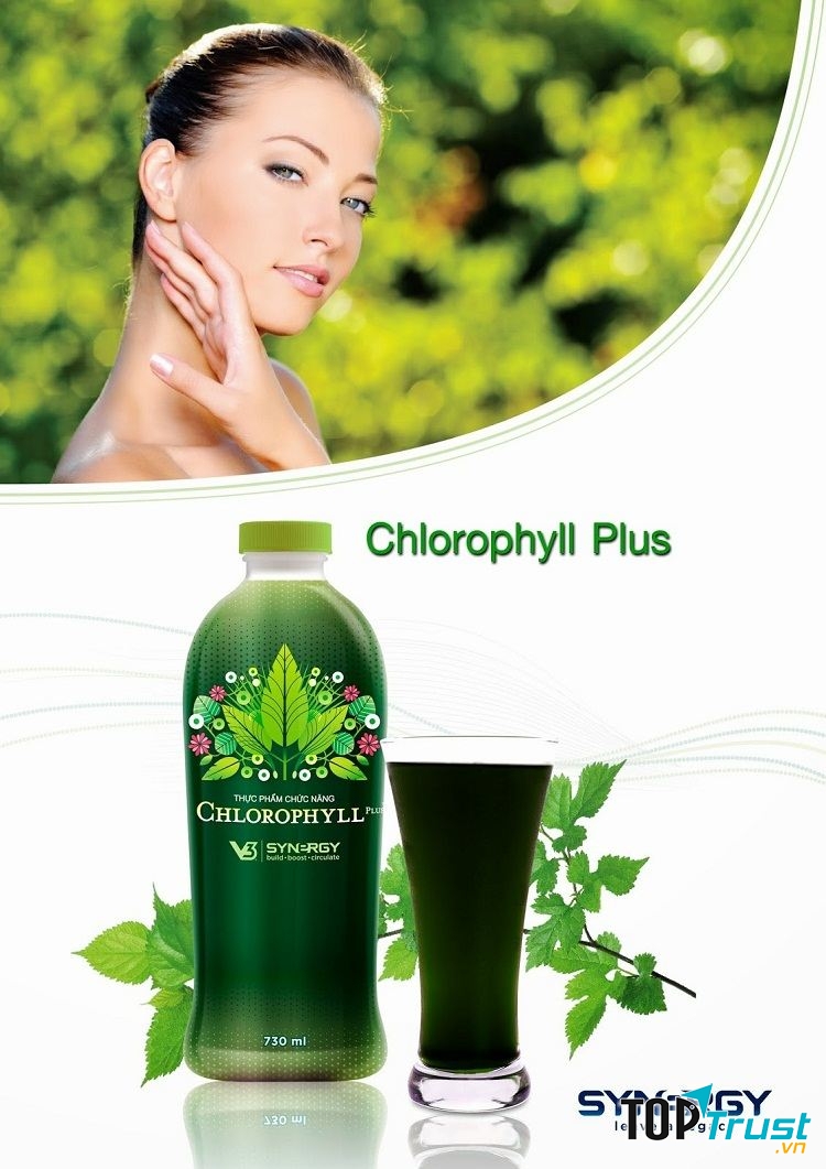 Nước Diệp Lục Chlorophyll Synergy