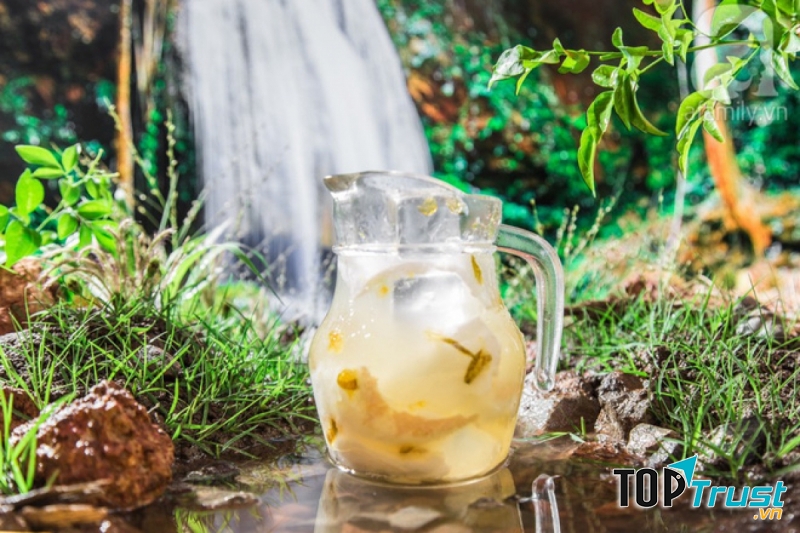 Uống nước dừa thường xuyên rất tốt cho sức khỏe