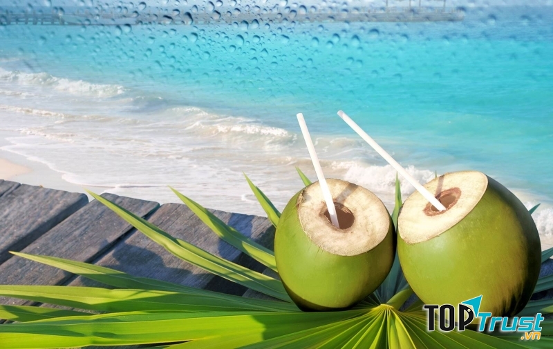 Nước dừa là thức uống giải khát tốt cho sức khỏe