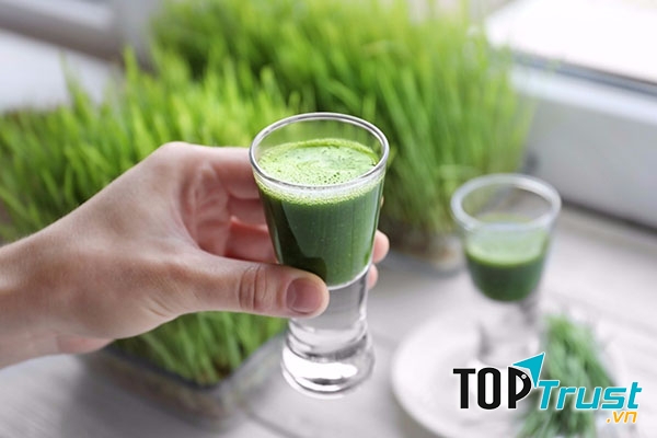 Nước ép cỏ lúa mạch