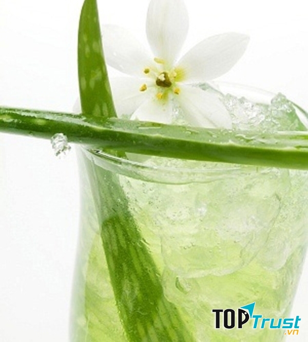 Nước nha đam đào thải chất độc hiệu quả