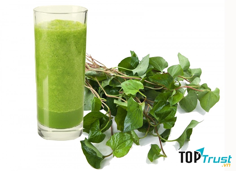 Nước ép rau diếp cá