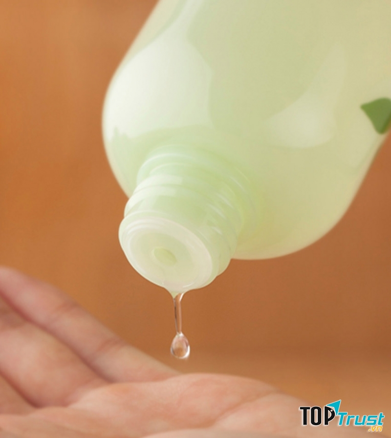 Innisfree Green Tea Fresh